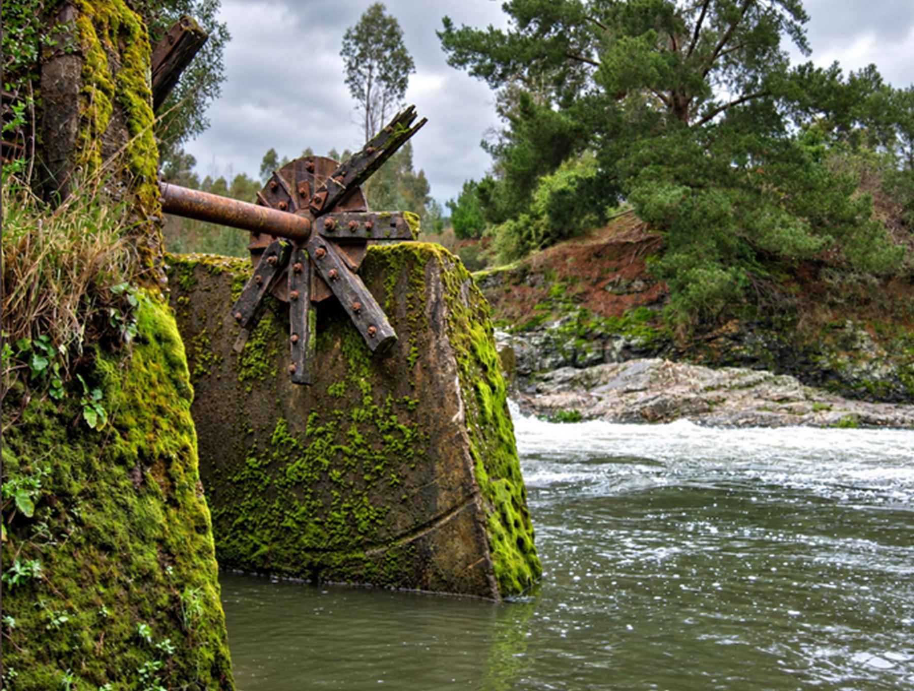 rueda agua
