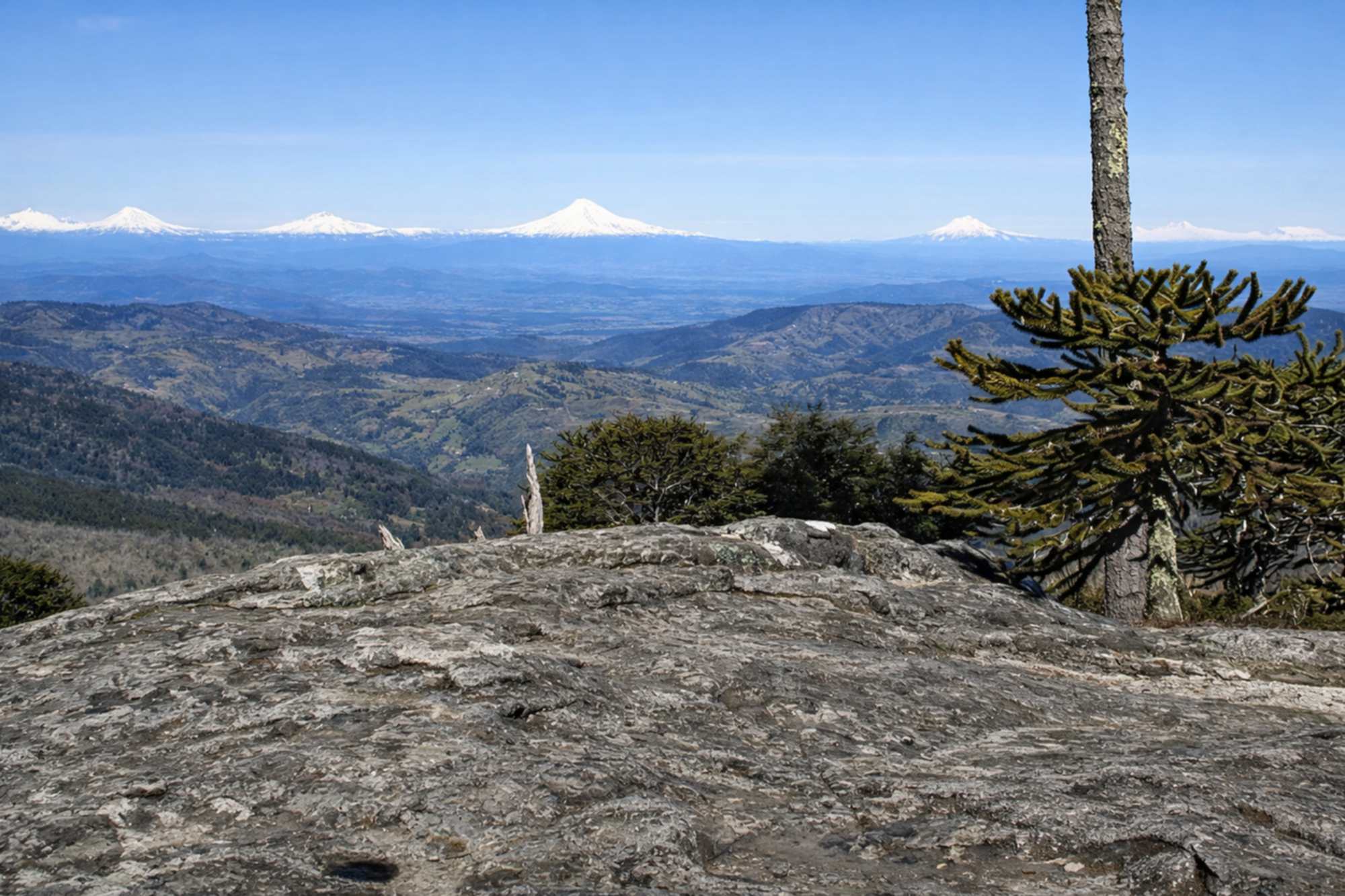 CORDILLERA DE NAHUELBUTA
