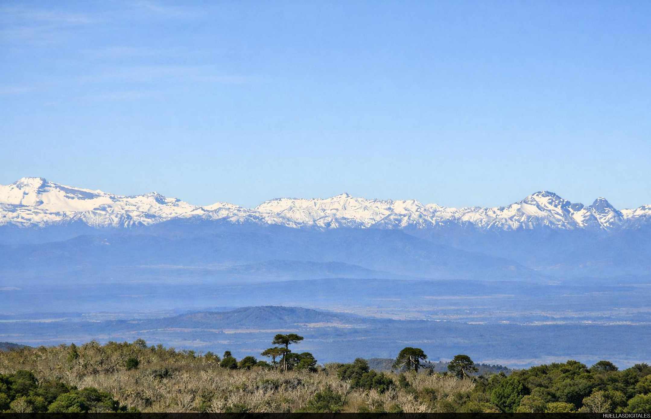 MIRANDO A LOS ANDES DESDE NAHUELBUTA...