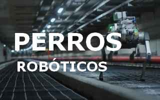 Vídeo